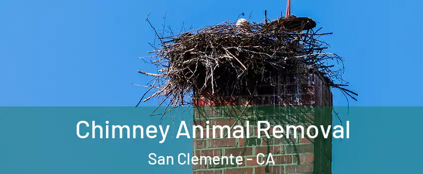 Chimney Animal Removal San Clemente - CA