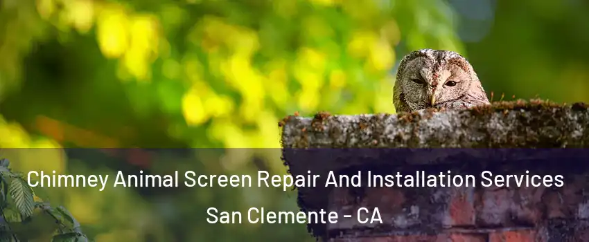  Chimney Animal Screen Repair And Installation Services San Clemente - CA