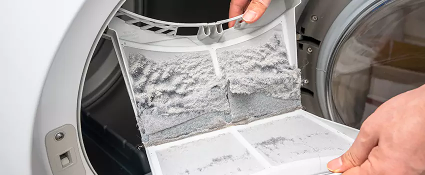 Best Dryer Lint Removal Company in San Clemente, California