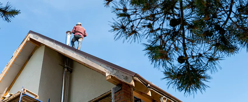 Birds Removal Contractors from Chimney in San Clemente, CA